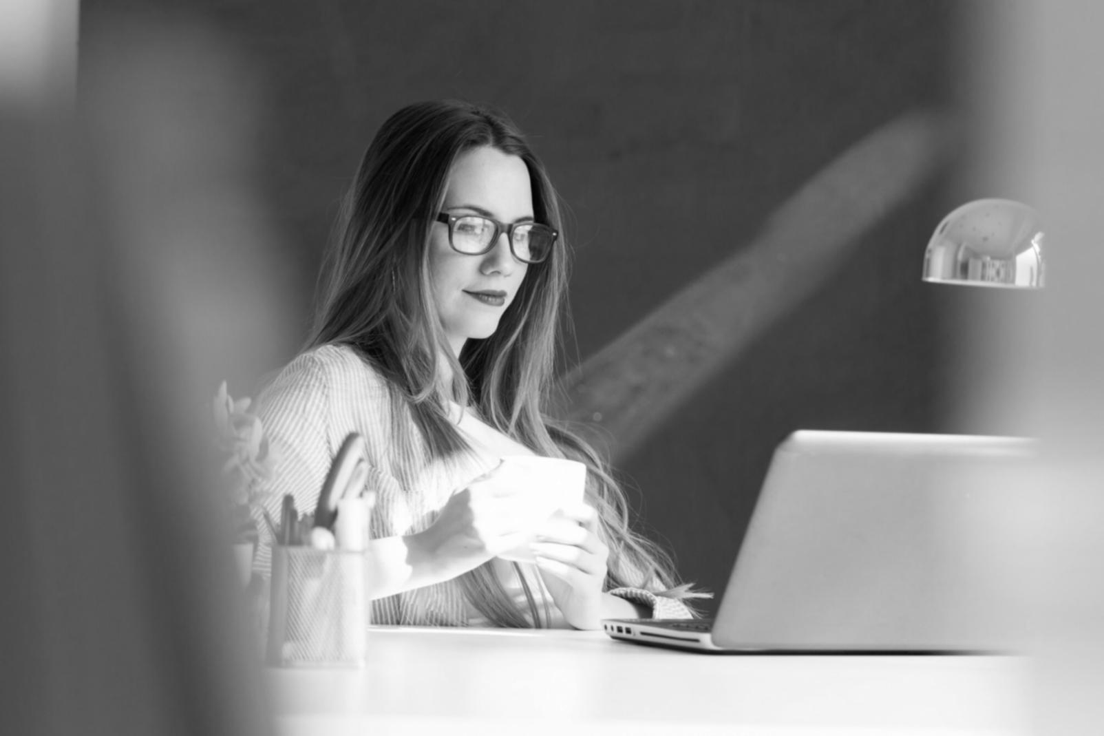 Finanzplanungs-Software Interface